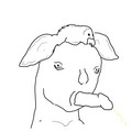 1112.jpg