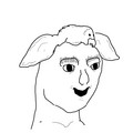 1120.jpg