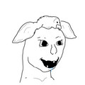 1136.jpg