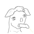 1138.jpg