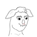 114.jpg