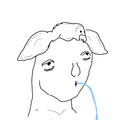 134.jpg