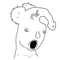 187.jpg