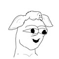 216.jpg