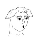 252.jpg
