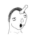 341.jpg