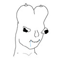 344.jpg