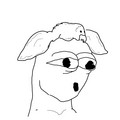 346.jpg
