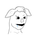 436.jpg