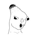 480.jpg