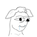 505.jpg