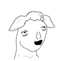 543.jpg