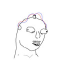 544.jpg