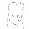 547.jpg