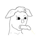 549.jpg
