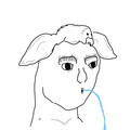 629.jpg