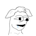 65.jpg