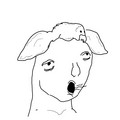 659.jpg