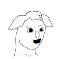 661.jpg