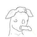 68.jpg