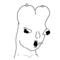 732.jpg