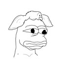 881.jpg