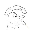 89.jpg