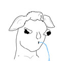 966.jpg