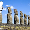 fucktard-meme-art_068.jpg