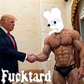 fucktard_meme-web3002.jpeg